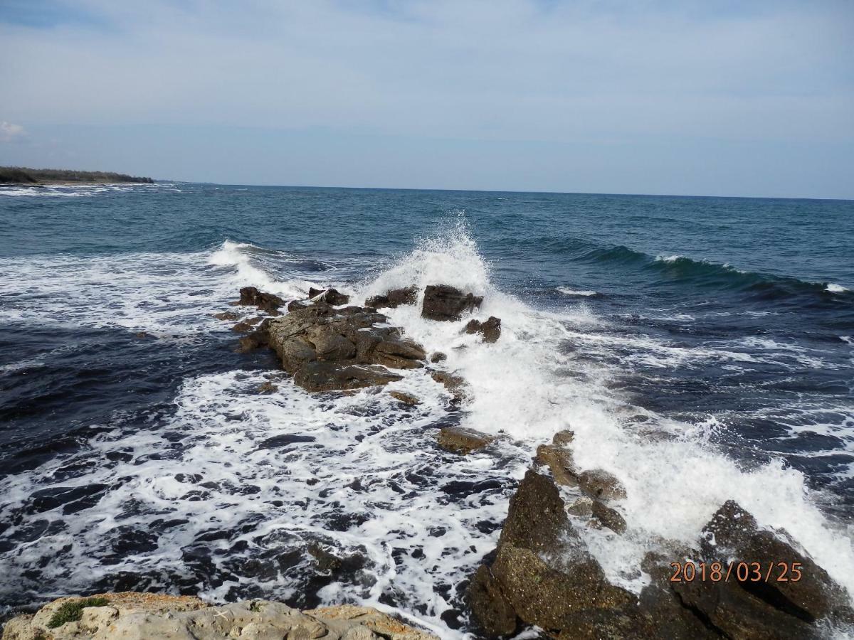 Location Vacances Лингиццета Экстерьер фото